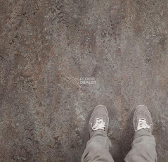 Forbo Marmoleum Decibel on Order 342135 oyster mountain фото 2 | FLOORDEALER